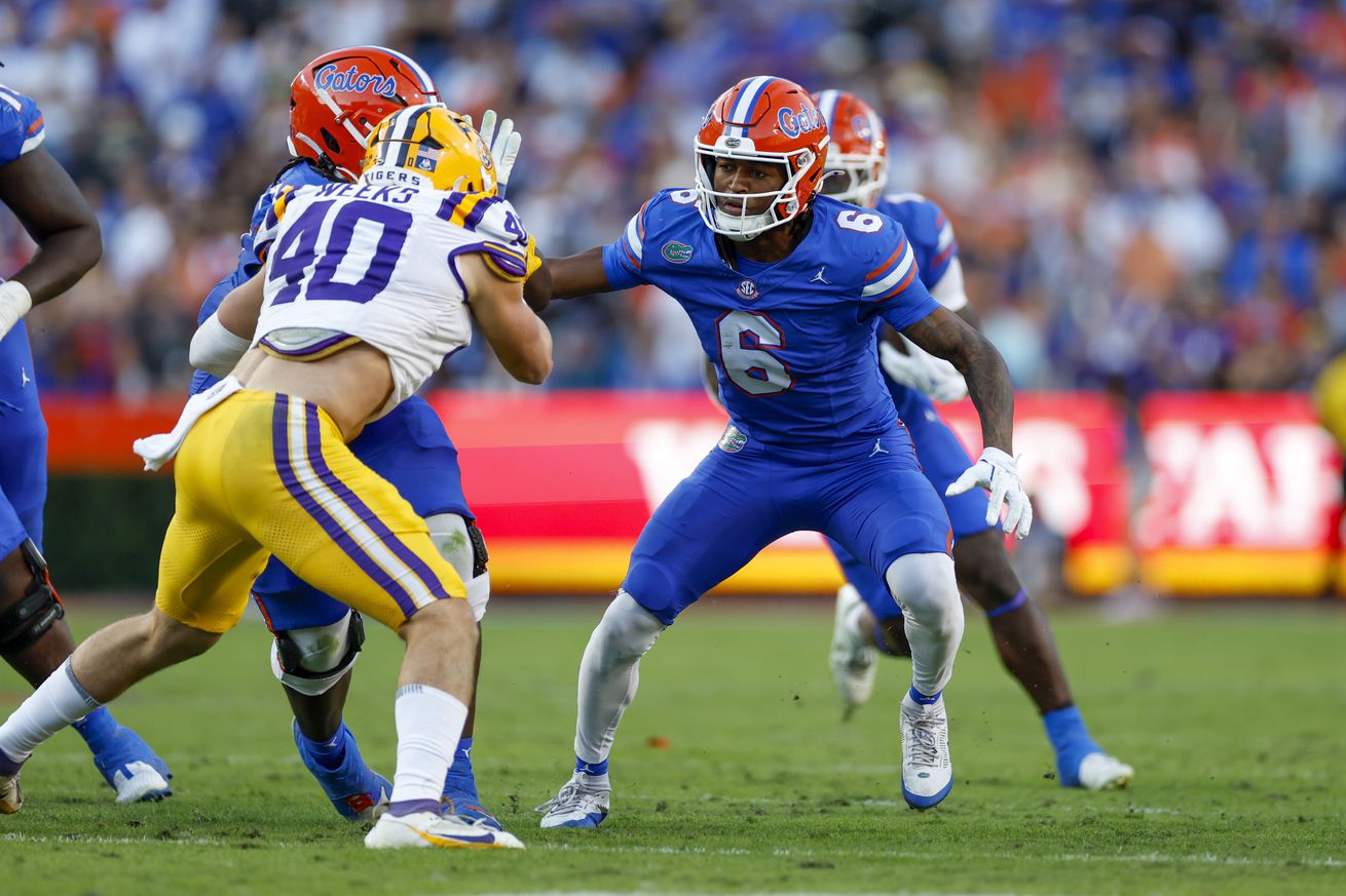 COLLEGE FOOTBALL: NOV 16 LSU at Florida