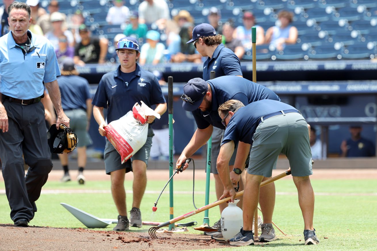 MLB: Minnesota Twins at Tampa Bay Rays