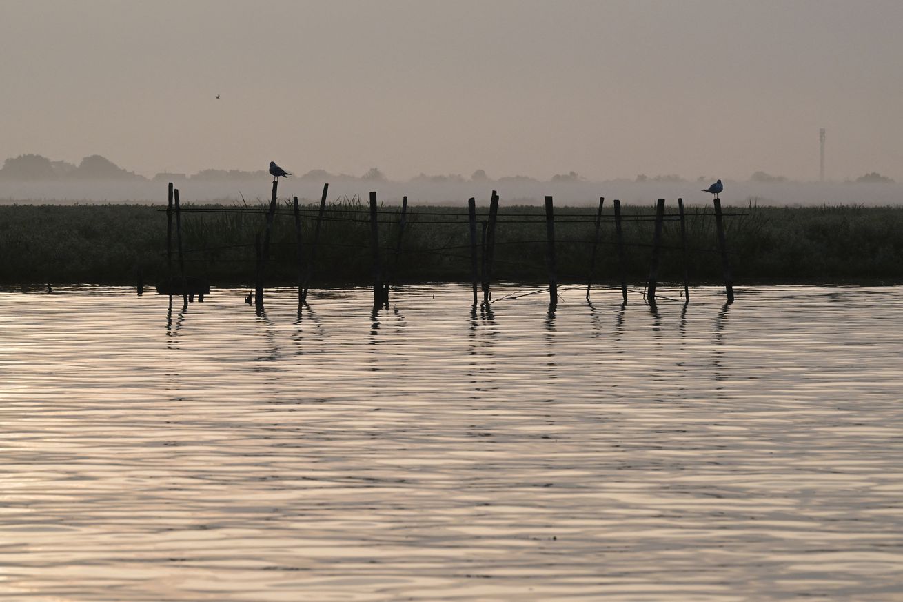 NATURE-FRANCE-BIRD-DISEASE-BOTULISM